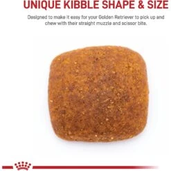 Royal Canin Breed Health Nutrition Golden Retriever Adult Dry Dog Food -Cozy Paws 48721 PT3. AC SS1800 V1695219134