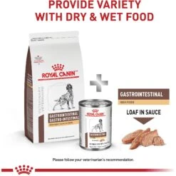 Royal Canin Veterinary Diet Adult Gastrointestinal High Fiber Dry Dog Food -Cozy Paws 48746 PT6. AC SS1800 V1691439983