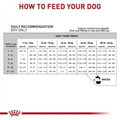 Royal Canin Veterinary Diet Puppy Gastrointestinal Dry Dog Food -Cozy Paws 48749 PT6. AC SS1800 V1691438123