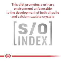 Royal Canin Veterinary Diet Adult Urinary SO Moderate Calorie Dry Dog Food -Cozy Paws 48762 PT7. AC SS1800 V1670423529