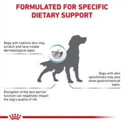Royal Canin Veterinary Diet Adult Skin Support Dry Dog Food -Cozy Paws 48773 PT2. AC SS1800 V1692391163