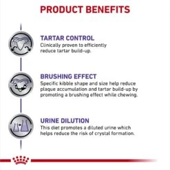 Royal Canin Veterinary Diet Adult Dental Small Breed Dry Dog Food -Cozy Paws 48815 PT4. AC SS1800 V1694465215