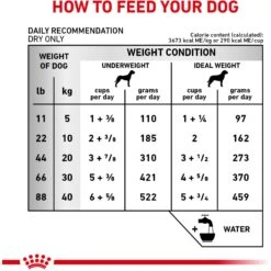 Royal Canin Veterinary Diet Adult Early Cardiac Dry Dog Food -Cozy Paws 48818 PT6. AC SS1800 V1614384715