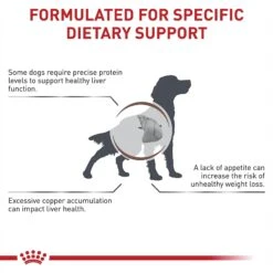 Royal Canin Veterinary Diet Adult Hepatic Dry Dog Food -Cozy Paws 48831 PT3. AC SS1800 V1691702145
