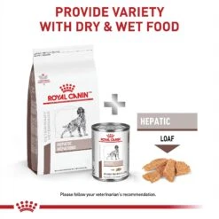 Royal Canin Veterinary Diet Adult Hepatic Dry Dog Food -Cozy Paws 48831 PT4. AC SS1800 V1691702144