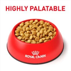 Royal Canin Veterinary Diet Adult Hydrolyzed Protein Moderate Calorie Dry Dog Food -Cozy Paws 48838 PT2. AC SS1800 V1692390376