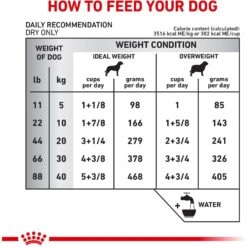 Royal Canin Veterinary Diet Adult Hydrolyzed Protein PS Dry Dog Food -Cozy Paws 48844 PT7. AC SS1800 V1684417060