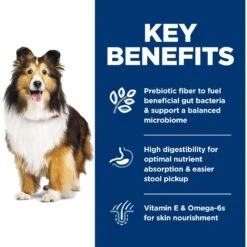 Hill's Science Diet Adult Sensitive Stomach & Sensitive Skin Chicken Recipe Dry Dog Food -Cozy Paws 48856 PT5. AC SS1800 V1634575573