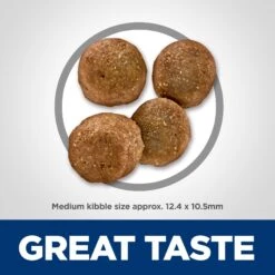 Hill's Science Diet Adult Sensitive Stomach & Sensitive Skin Chicken Recipe Dry Dog Food -Cozy Paws 48856 PT6. AC SS1800 V1634576506