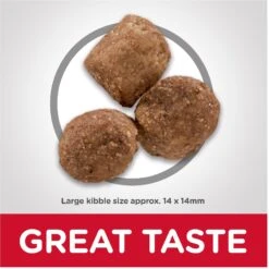 Hill's Science Diet Adult Healthy Mobility Large Breed Chicken Meal, Brown Rice & Barley Recipe Dry Dog Food -Cozy Paws 48930 PT1. AC SS1800 V1629133311