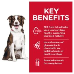 Hill's Science Diet Adult Healthy Mobility Large Breed Chicken Meal, Brown Rice & Barley Recipe Dry Dog Food -Cozy Paws 48930 PT2. AC SS1800 V1629133290