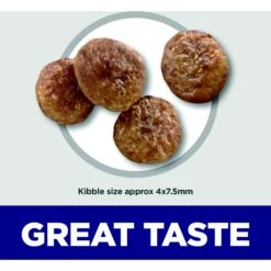 Hill's Science Diet Adult 7+ Small & Mini Chicken Meal, Barley & Brown Rice Recipe Dry Dog Food -Cozy Paws 48936 PT2. AC SS1800 V1692734197