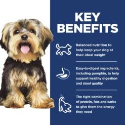 Hill's Science Diet Adult Small & Mini Chicken Meal & Rice Recipe Dry Dog Food -Cozy Paws 48941 PT5. AC SS1800 V1692798791