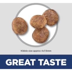 Hill's Science Diet Adult Small & Mini Chicken Meal & Rice Recipe Dry Dog Food -Cozy Paws 48941 PT6. AC SS1800 V1692801732