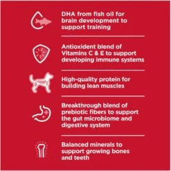 Hill's Science Diet Puppy Chicken & Barley Entree Canned Dog Food -Cozy Paws 48946 PT3. AC SS1800 V1690571496