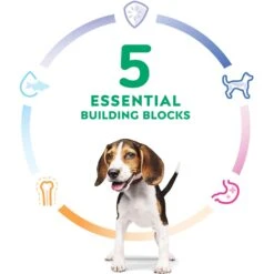 Hill's Science Diet Puppy Chicken & Barley Entree Canned Dog Food -Cozy Paws 48946 PT4. AC SS1800 V1690566662