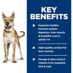 Hill's Science Diet Adult Chicken & Barley Entree Canned Dog Food -Cozy Paws 48959 PT5. AC SS1800 V1598146869