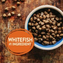 Wellness CORE Ocean Whitefish, Herring & Salmon Recipe Dry Dog Food -Cozy Paws 49158 PT3. AC SS1800 V1594855556