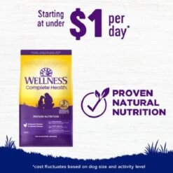 Wellness Large Breed Complete Health Adult Deboned Chicken & Brown Rice Recipe Dry Dog Food 13 Wellness Large Breed Complete Health Adult Deboned Chicken & Brown Rice Recipe Dry Dog Food -Cozy Paws 49175 PT4. AC SS1800 V1594849875