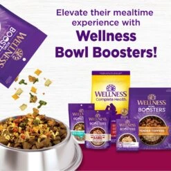 Wellness Small Breed Complete Health Adult Turkey & Oatmeal Recipe Natural Dry Dog Food -Cozy Paws 49177 PT5. AC SS1800 V1594910461