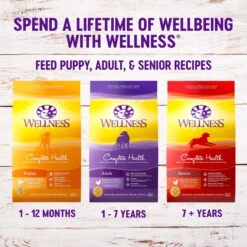 Wellness Complete Health Adult Deboned Chicken & Oatmeal Recipe Dry Dog Food -Cozy Paws 49180 PT4. AC SS1800 V1594847753
