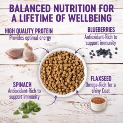 Wellness Complete Health Puppy Deboned Chicken, Oatmeal & Salmon Meal Recipe Dry Dog Food -Cozy Paws 49183 PT2. AC SS1800 V1677616437