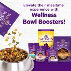 Wellness Complete Health Adult Lamb & Barley Recipe Natural Dry Dog Food -Cozy Paws 49189 PT5. AC SS1800 V1594910164
