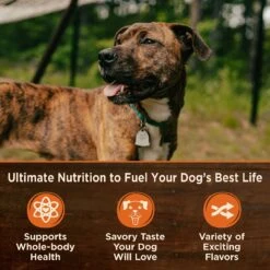 Wellness CORE Grain-Free Turkey, Chicken Liver & Turkey Liver Formula Canned Dog Food -Cozy Paws 49206 PT2. AC SS1800 V1612807873