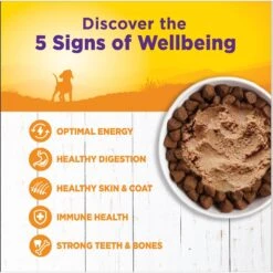 Wellness Complete Health Just For Puppy Canned Dog Food -Cozy Paws 49210 PT2. AC SS1800 V1691423158