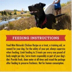 Zuke's Mini Naturals Chicken Recipe Training Dog Treats -Cozy Paws 49395 PT8. AC SS1800 V1690486844