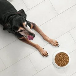 Nutro Ultra Senior Dry Dog Food -Cozy Paws 49630 PT3. AC SS1800 V1702678487