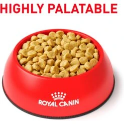 Royal Canin Veterinary Diet Adult Selected Protein PD Dry Dog Food -Cozy Paws 49957 PT2. AC SS1800 V1684417060