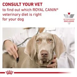 Royal Canin Veterinary Diet Adult Selected Protein PR Dry Dog Food -Cozy Paws 49961 PT8. AC SS1800 V1692368300