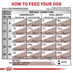 Royal Canin Veterinary Diet Adult Gastrointestinal Dry Dog Food -Cozy Paws 50192 PT7. AC SS1800 V1691506584