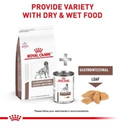 Royal Canin Veterinary Diet Adult Gastrointestinal Loaf Canned Dog Food -Cozy Paws 50194 PT3. AC SS1800 V1691702115