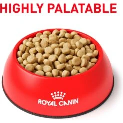 Royal Canin Veterinary Diet Adult Selected Protein PW Moderate Calorie Dry Dog Food -Cozy Paws 50212 PT2. AC SS1800 V1684404084