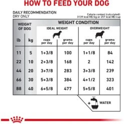 Royal Canin Veterinary Diet Adult Selected Protein PW Moderate Calorie Dry Dog Food -Cozy Paws 50212 PT7. AC SS1800 V1684411891