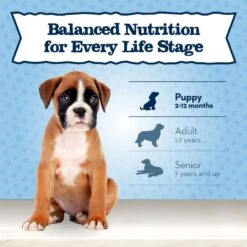 Blue Buffalo Baby Blue Healthy Growth Formula Natural Chicken & Vegetable Recipe Puppy Wet Food, 12.5-oz Cans, Case Of 12 -Cozy Paws 502134 PT7. AC SS1800 V1647639995