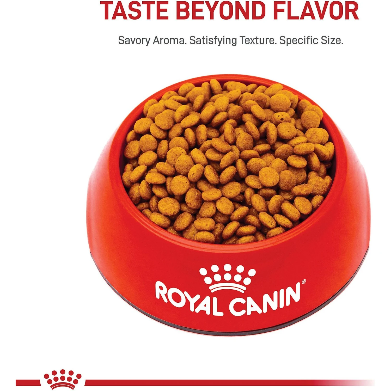 Royal Canin Size Health Nutrition X-Small Adult Dry Dog Food 4 Royal Canin Size Health Nutrition X-Small Adult Dry Dog Food - Image 2