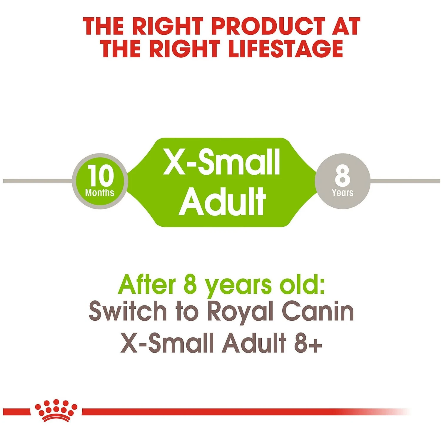 Royal Canin Size Health Nutrition X-Small Adult Dry Dog Food 9 Royal Canin Size Health Nutrition X-Small Adult Dry Dog Food - Image 7