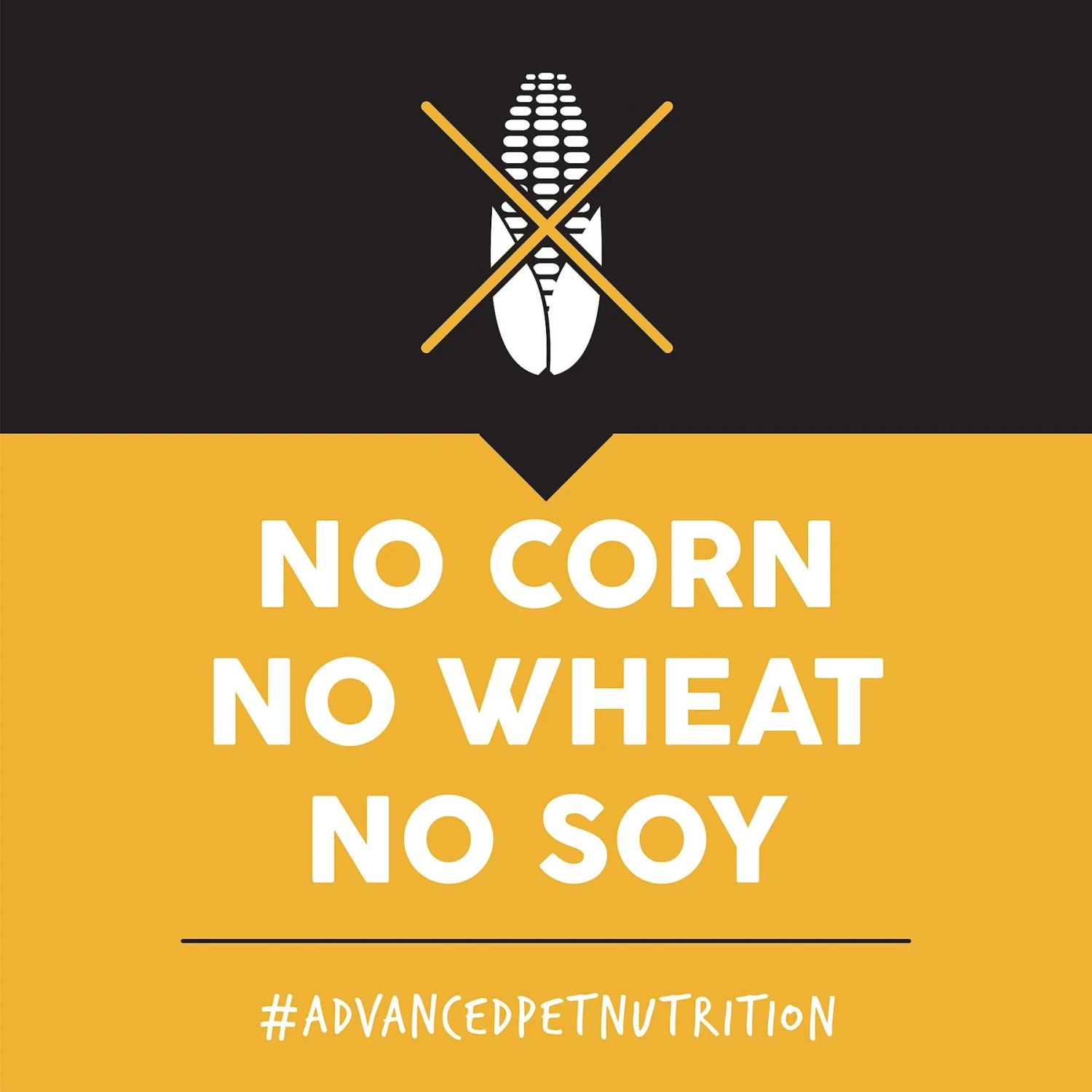 Ultimates Heartland Choice Chicken & Potato Grain-Free Dry Dog Food 7 Ultimates Heartland Choice Chicken & Potato Grain-Free Dry Dog Food - Image 5