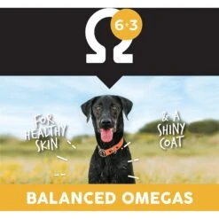 Ultimates Heartland Choice Chicken & Potato Grain-Free Dry Dog Food 14 Ultimates Heartland Choice Chicken & Potato Grain-Free Dry Dog Food -Cozy Paws 502458 PT5. AC SS1800 V1647986520