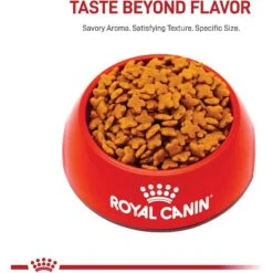 Royal Canin Size Health Nutrition Small Adult Dry Dog Food -Cozy Paws 50246 PT1. AC SS1800 V1592546456