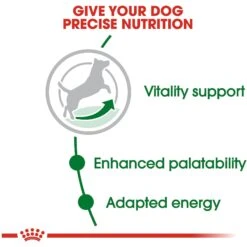 Royal Canin Size Health Nutrition Small Adult 8+ Dry Dog Food -Cozy Paws 50260 PT4. AC SS1800 V1697213094