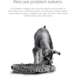 Pet Parents Forager Snuffle Mat & Slow Feeder Dog Bowl -Cozy Paws 505542 PT5. AC SS1800 V1696255492