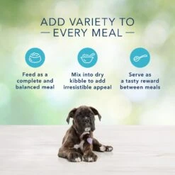 Blue Buffalo Freedom Puppy Chicken Recipe Grain-Free Canned Dog Food -Cozy Paws 50831 PT5. AC SS1800 V1585082500