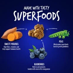 Fruitables Skinny Minis Pumpkin & Berry Flavor Dog Treats -Cozy Paws 50835 PT4. AC SS1800 V1662742305