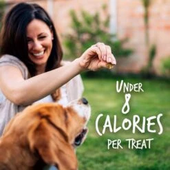 Fruitables Pumpkin & Blueberry Flavor Dog Treats -Cozy Paws 50845 PT5. AC SS1800 V1594328452