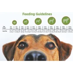 Blackwood 1000 Chicken Meal & Oats Recipe Everyday Diet Adult Dry Dog Food -Cozy Paws 50914 PT4. AC SS1800 V1550528270