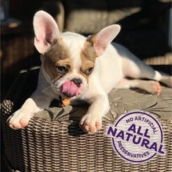 Old Mother Hubbard By Wellness Training Bitz Assorted Mix Natural Oven-Baked Biscuits Dog Treats 11 Old Mother Hubbard By Wellness Training Bitz Assorted Mix Natural Oven-Baked Biscuits Dog Treats -Cozy Paws 51166 PT3. AC SS1800 V1657657790